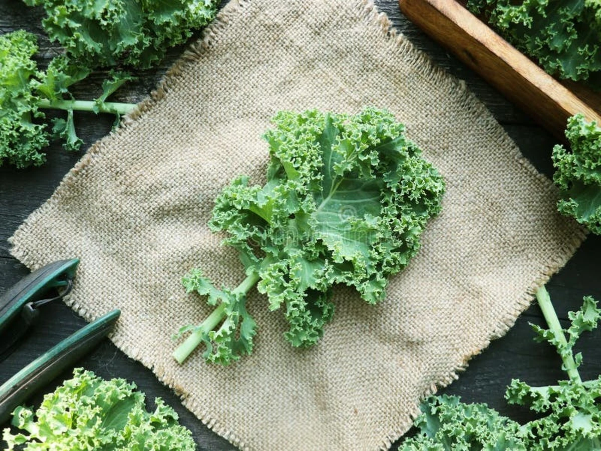 dlaczegowartowr-extra-1.webp Dlaczego warto wrzucić jarmuż do koszyka przy najbliższych zakupach w Biedronce - image 1