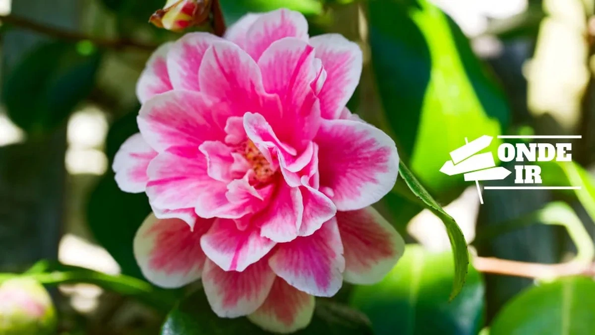 Dlaczego warto spędzić ten weekend z filiżanką gorącej czekolady i kieliszkiem wina