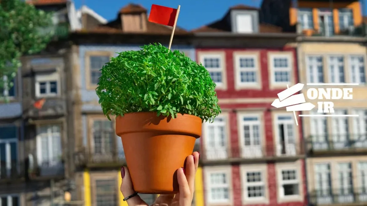 Jak spędzić weekend w Portugalii: od sardynek w Lizbonie po średniowieczne turnieje