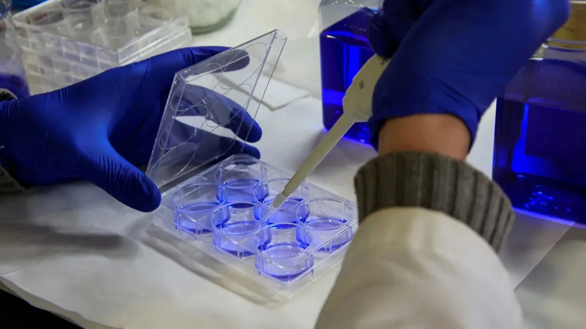 Przełom w leczeniu nowotworów mózgu: jak działa spersonalizowana szczepionka DNA