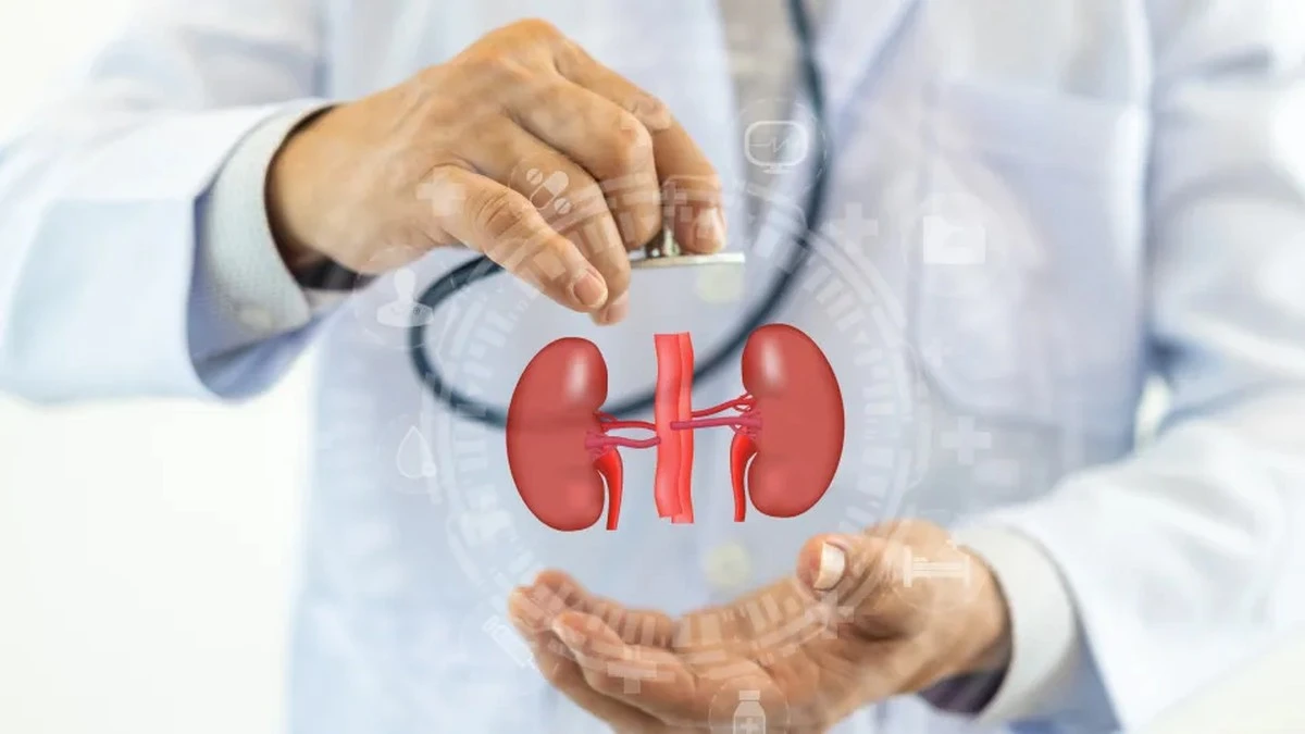 Dlaczego rano Twoje oczy są spuchnięte? Ciche sygnały, że nerki potrzebują pomocy