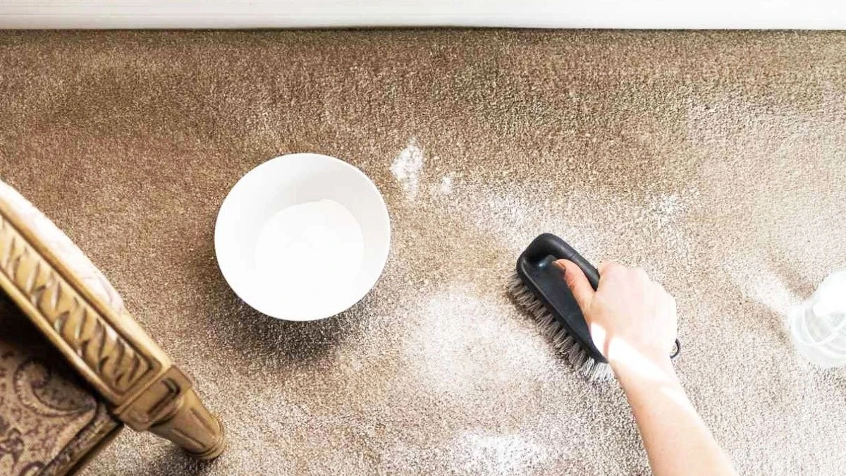 Czarny proszek w misce: Zapomnij o brzydkim zapachu w domu w 20 minut