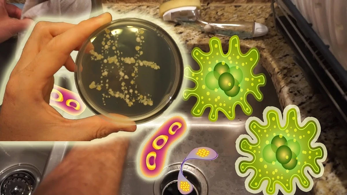 dlaczegonigdyni-extra-1.webp Dlaczego nigdy nie powinieneś myć talerzy w zlewie bez jego wcześniejszego szorowania - image 1