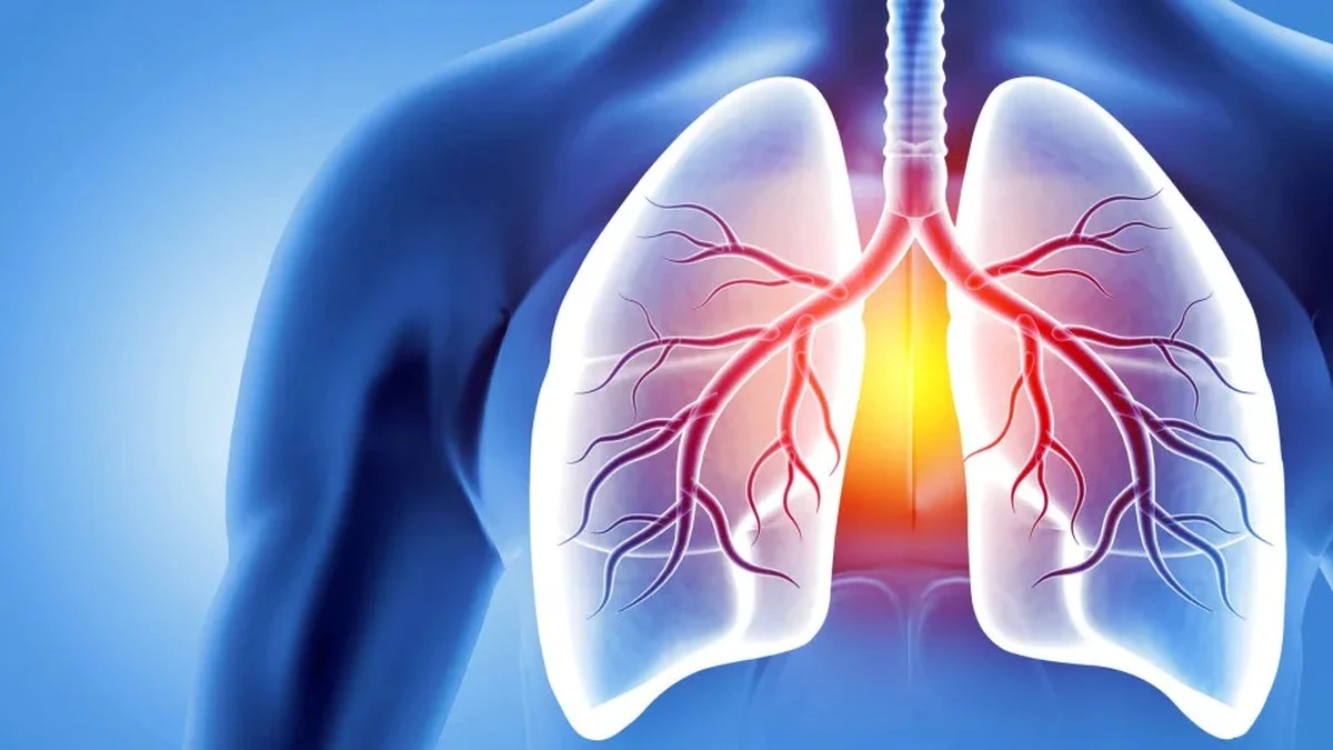 Dlaczego niektórzy chorują na płuca, choć nigdy nie palili? Winna może być jedna proteina