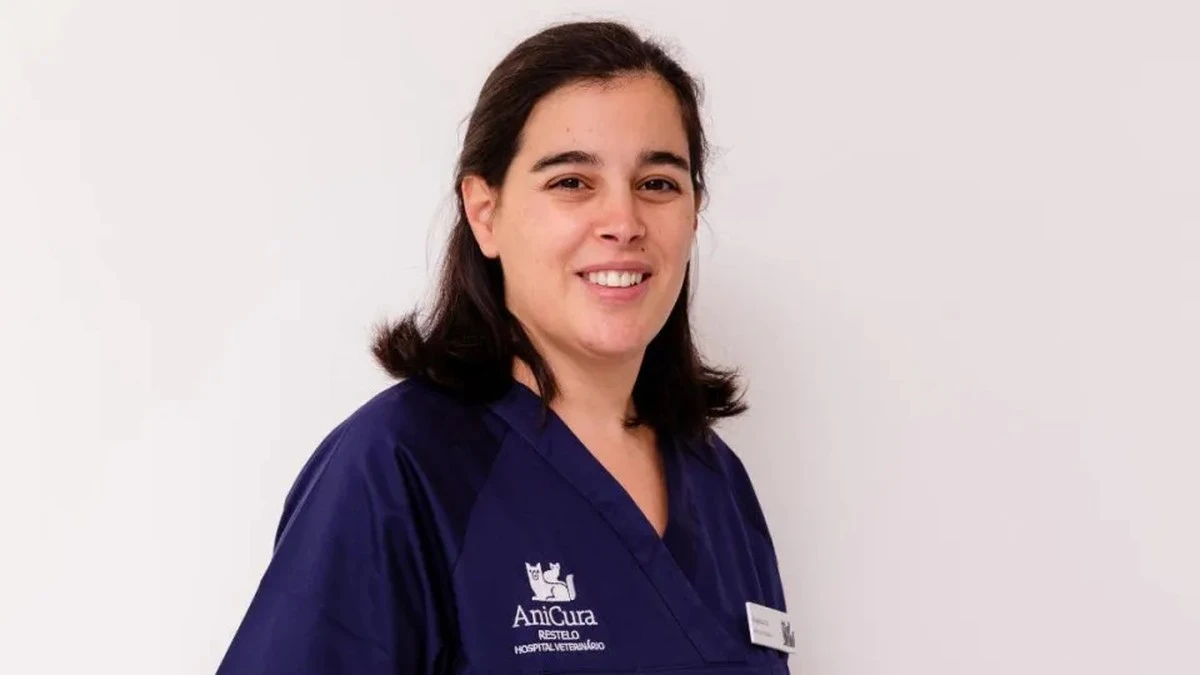 Dlaczego pies to nie tylko „lek” na samotność: ukryta strona relacji z pupilem