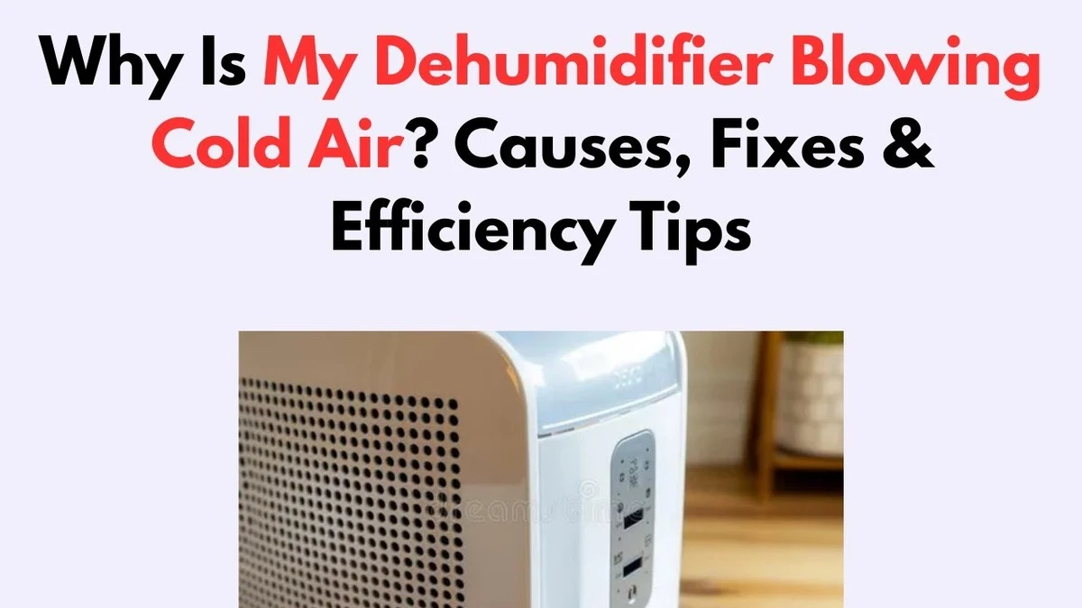 dlaczegozosusza-extra-1.webp Dlaczego z osuszacza leci zimne powietrze - image 1