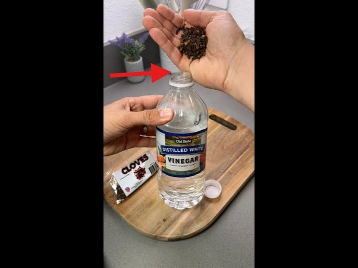 Dlaczego warto wrzucić kilka goździków do butelki z octem - image 1