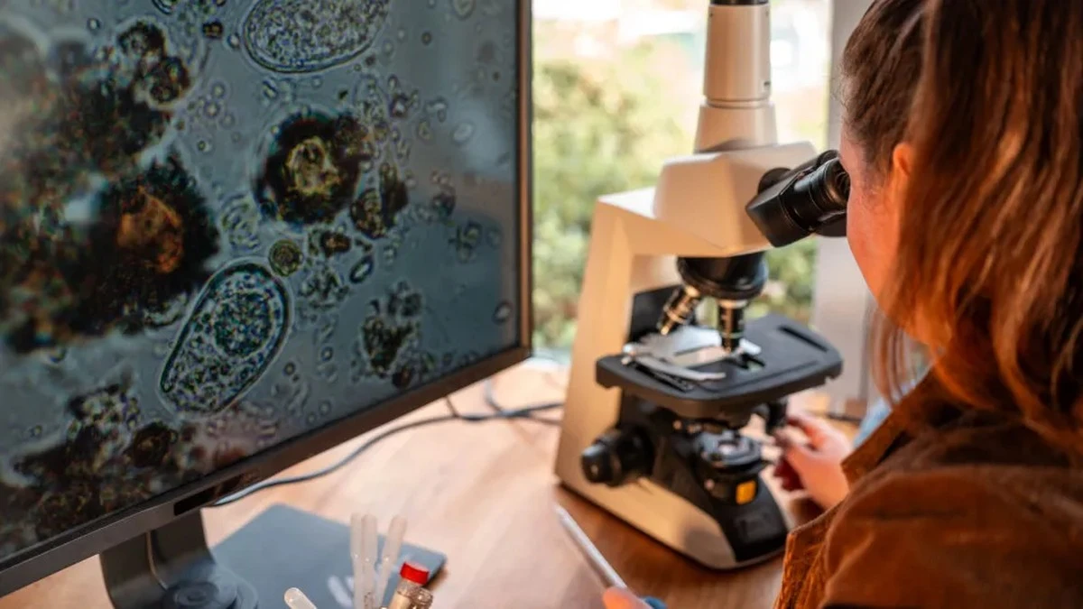 Dlaczego świat może stracić wyjątkowe gatunki grzybów, o których istnieniu nawet nie wiemy