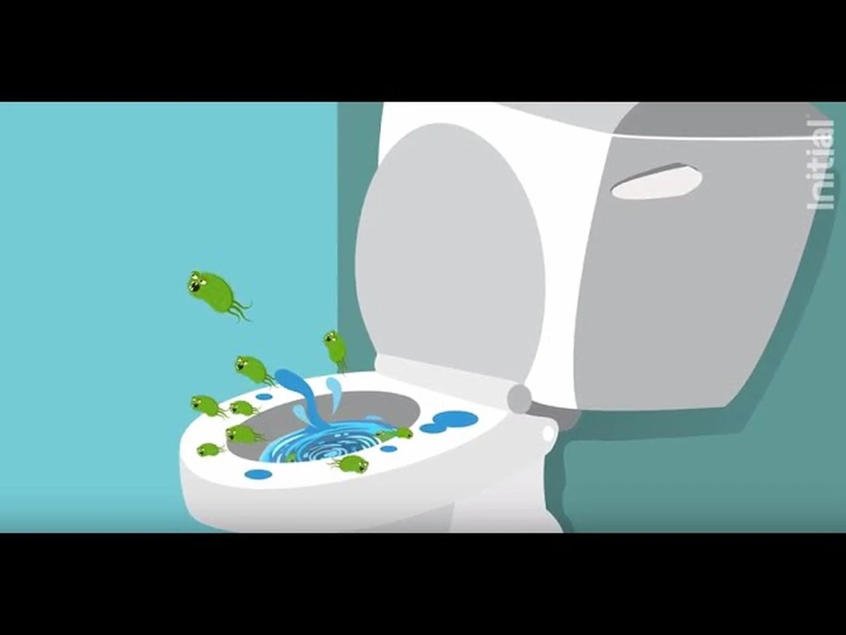 Dlaczego kładzenie ręczników na spłuczce to fatalny pomysł dla Twojego zdrowia - image 1