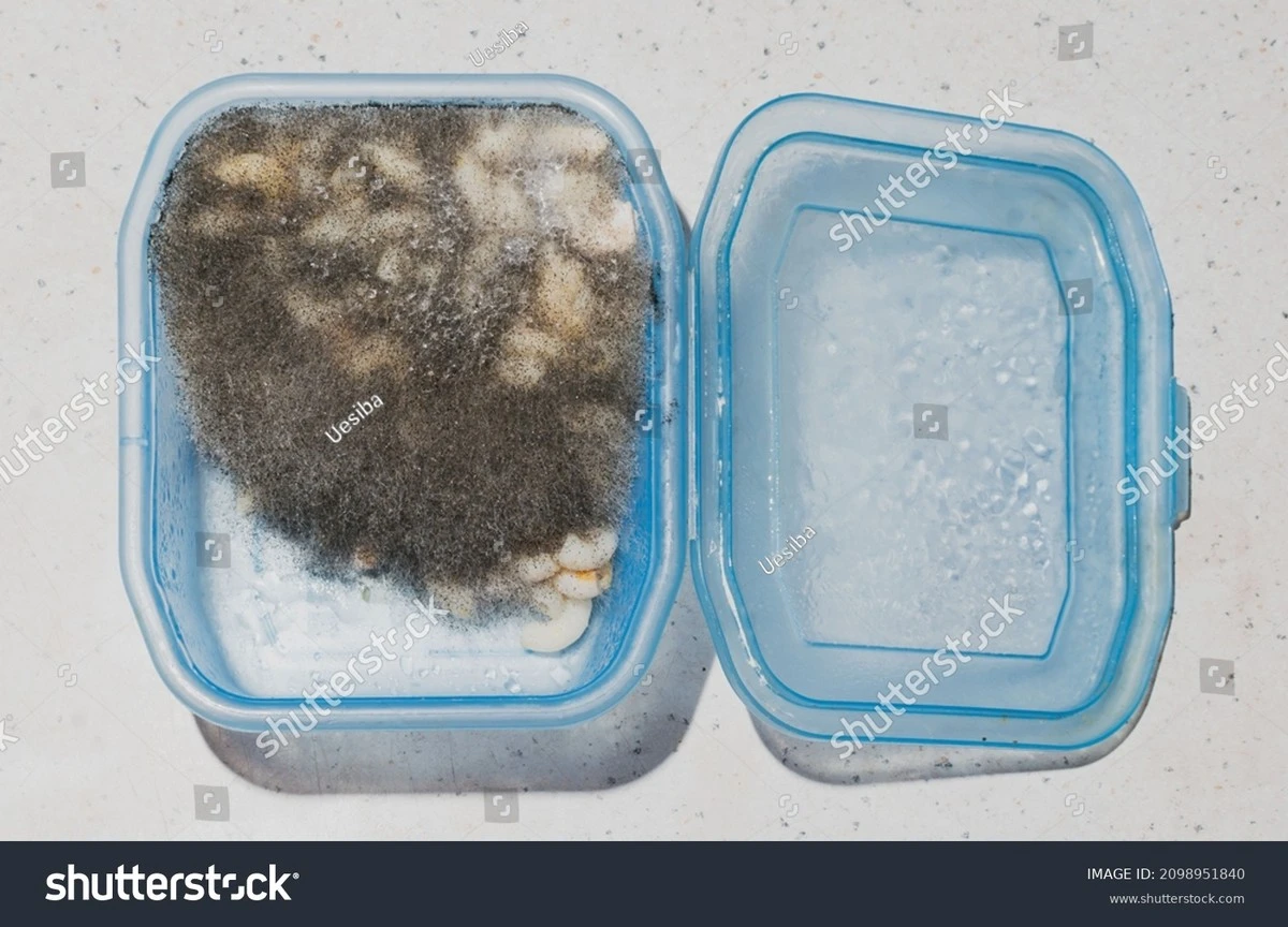 dlaczegodoswiad-extra-1.webp Dlaczego doświadczone gospodynie zawsze wlewają łyżkę wybielacza do zlewu z plastikowymi pojemnikami - image 1