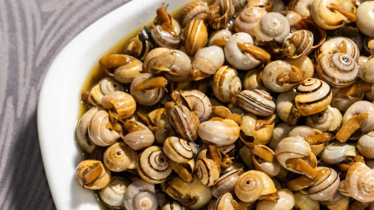 Dlaczego sezon na ślimaki w Lizbonie zaczął się w tym roku wcześniej