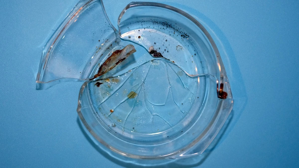 Szklane naczynia w piekarniku: 4 produkty, które niszczą obiad i szkło - image 1