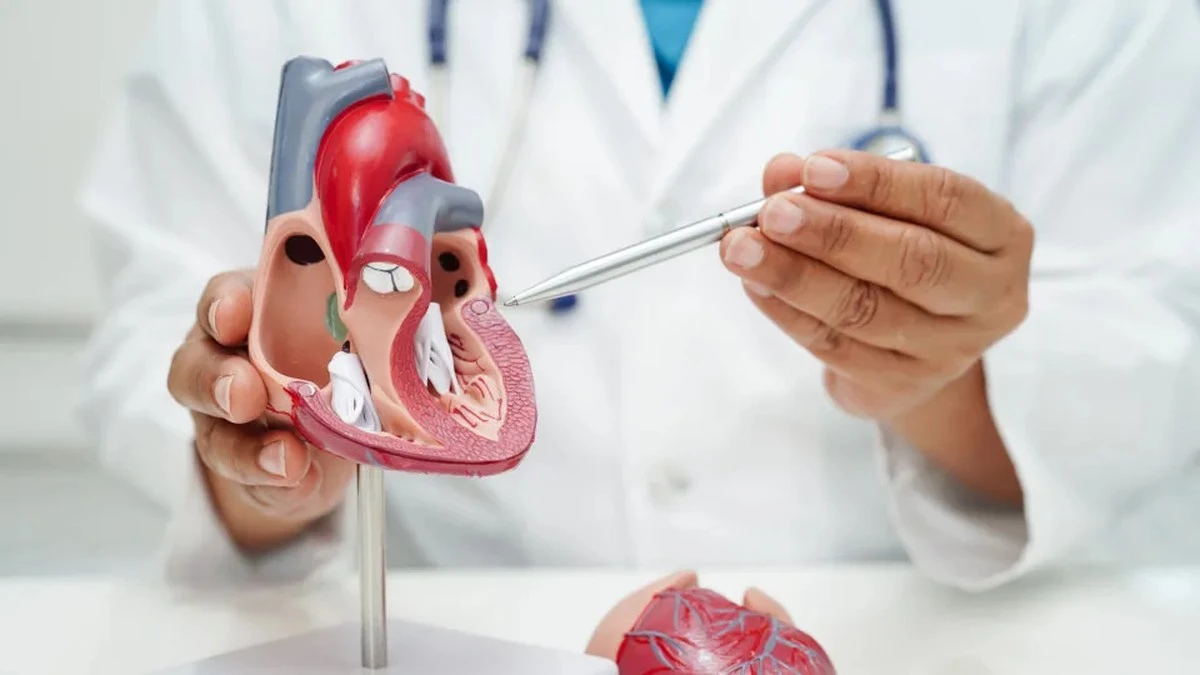 Dlaczego serce potrzebuje 30 minut spaceru zamiast morderczego treningu