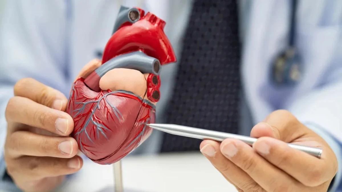 Sześć nawyków, których kardiolog unika po godzinie osiemnastej