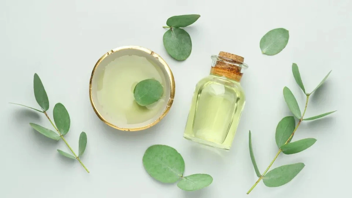 Dlaczego warto mieć olejek eukaliptusowy w domowej apteczce