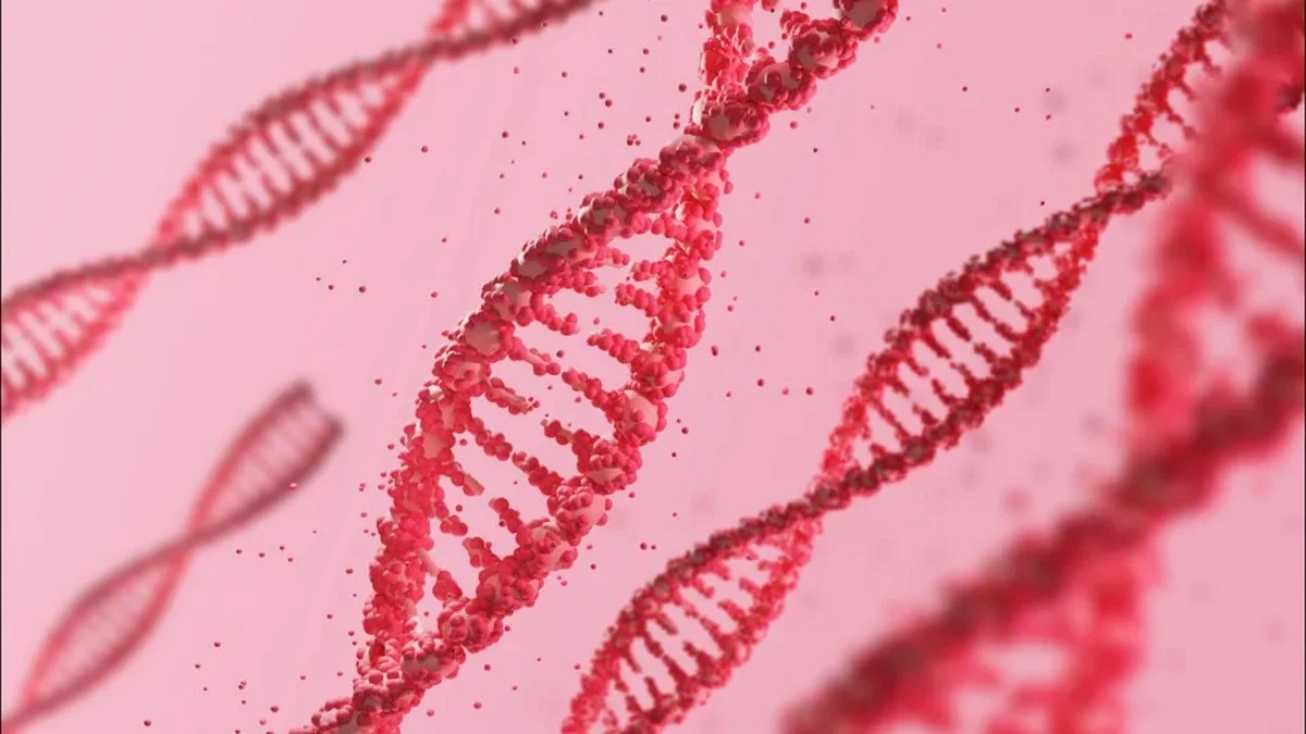 Ta skromna roślina z Oceanii bije rekordy DNA, zostawiając ludzi daleko w tyle