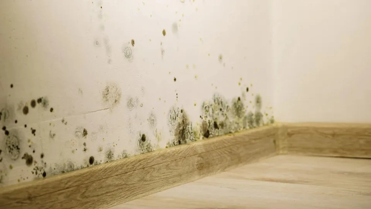 Dlaczego warto wyłączyć dyfuzor zapachowy, gdy za oknem panuje polska plucha