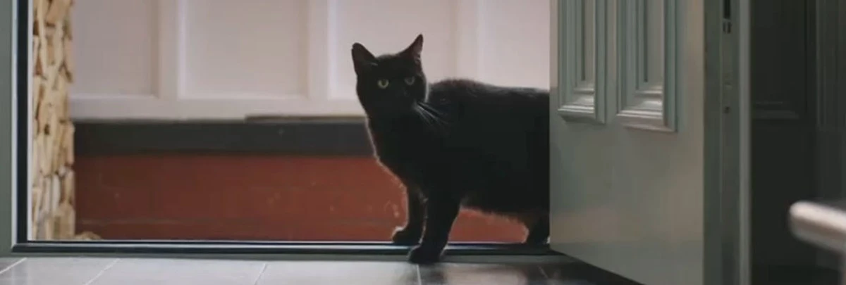 Dlaczego paraskewidekatrifobia paraliżuje Polaków: 13 lutego 2026 - image 1