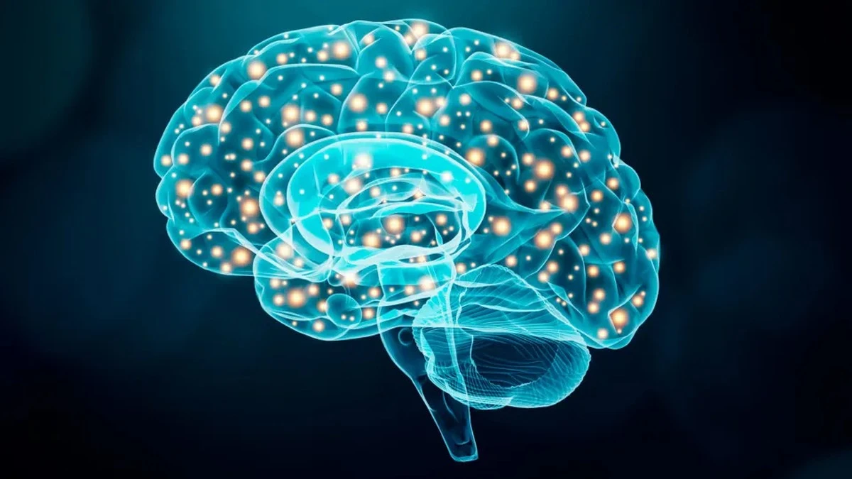Pięć nawyków, które neurolog uważa za klucz do młodego mózgu