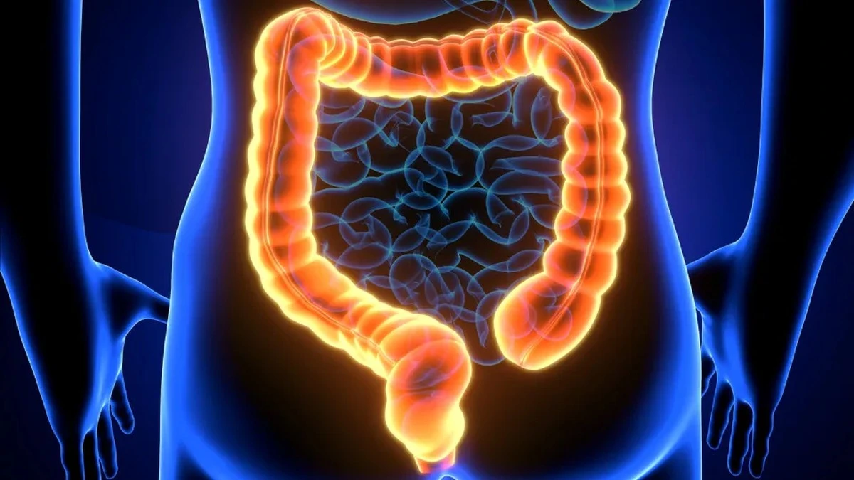 Dlaczego suplementy diety to za mało – prawda o twoich jelitach