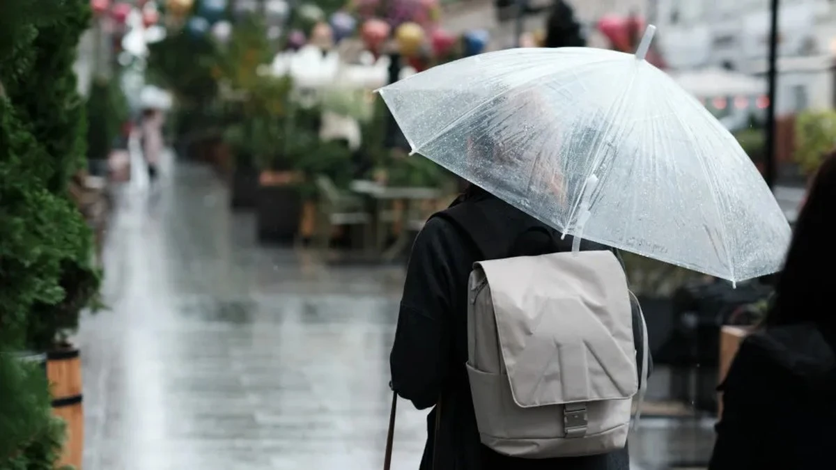Dlaczego nigdy nie powinieneś suszyć parasola po otwarciu