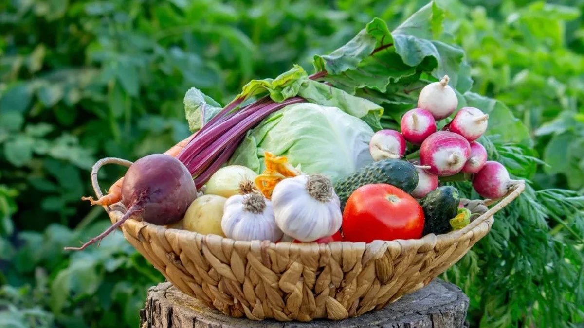 Dlaczego warto wrzucić jarmuż do koszyka przy najbliższych zakupach w Biedronce