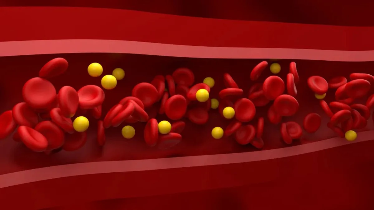Dlaczego kardiolodzy zawsze mają oliwę i tłuste ryby w swojej kuchni