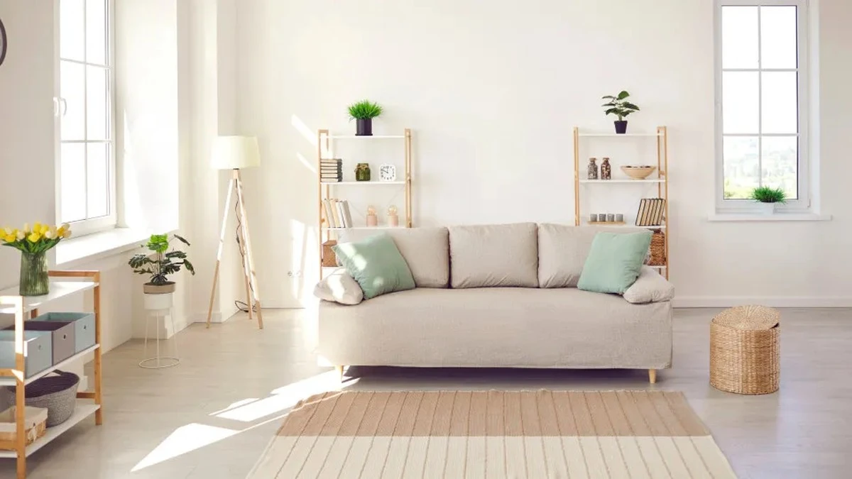 Dlaczego warto przecierać liście roślin wilgotną szmatką przynajmniej raz w miesiącu